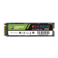 黑金刚KSX3200 256G M.2固态硬盘