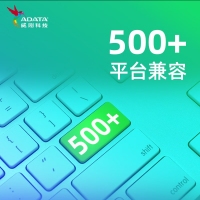 威刚 (ADATA) SU650 256G SATA固态硬盘 高速读写 笔记本 台式机拓展 SATA3.0接口