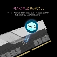 宏碁掠夺者（PREDATOR）32G(16G×2)套装 DDR5 6000频率 台式机内存条 Vesta II 炫光星舰RGB灯条(C30) 星光银