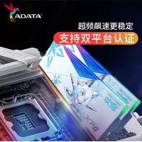 威刚龙耀DWROG DWROG RGB 吹雪 32G-6800(16GX2)灯条（釉白）DDR5