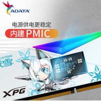 威刚龙耀DWROG DWROG RGB 吹雪 32G-6800(16GX2)灯条（釉白）DDR5