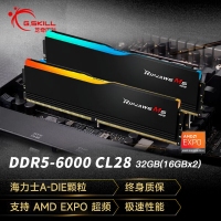 芝奇（G.SKILL）烈焰枪 32GB(16Gx2) DDR5 6000 RGB 灯条-黑色/AMD EXPO/C28
