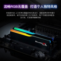 芝奇（G.SKILL）烈焰枪 32GB(16Gx2) DDR5 6000 RGB 灯条-白色/AMD EXPO/C28