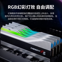 芝奇（G.SKILL）幻锋戟XMP 32GB(16Gx2) DDR5 6800 A-Die/C34大容量台式机RGB内存灯条套装