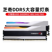 芝奇（G.SKILL）幻锋戟XMP 32GB(16Gx2) DDR5 6800 A-Die/C34大容量台式机RGB内存灯条套装