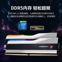 芝奇（G.SKILL）幻锋戟XMP 32GB(16Gx2) DDR5 6800 A-Die/C34大容量台式机RGB内存灯条套装
